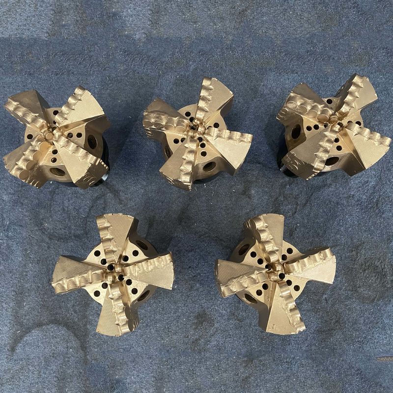 Customizable Steel Drag Bits for Medium/Hard Formation Drilling with Advanced Alloy