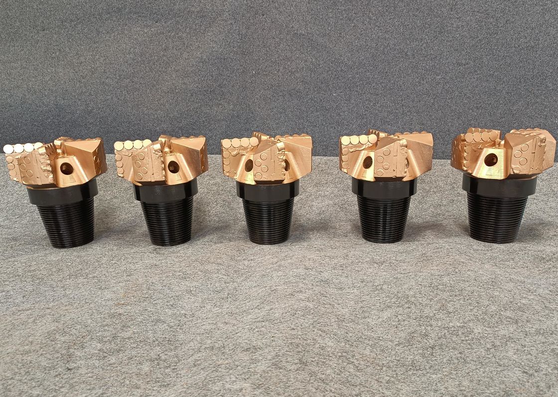 Customizable Steel Drag Bits for Medium/Hard Formation Drilling with Advanced Alloy